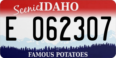 ID license plate E062307