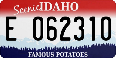 ID license plate E062310