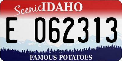 ID license plate E062313