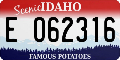 ID license plate E062316