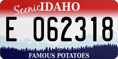 ID license plate E062318