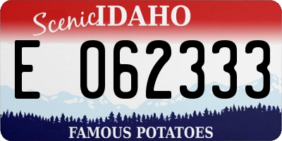 ID license plate E062333