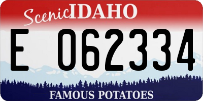 ID license plate E062334