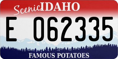 ID license plate E062335
