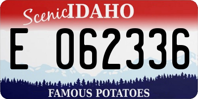 ID license plate E062336