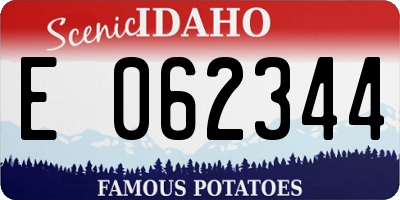 ID license plate E062344
