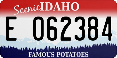 ID license plate E062384
