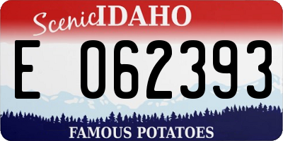 ID license plate E062393