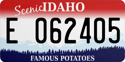 ID license plate E062405