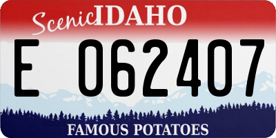 ID license plate E062407