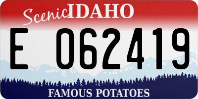 ID license plate E062419