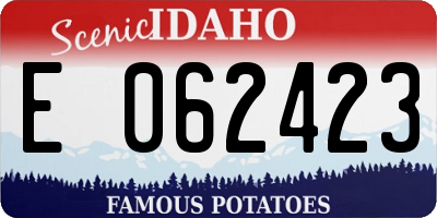 ID license plate E062423