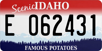 ID license plate E062431