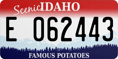 ID license plate E062443