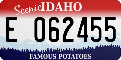 ID license plate E062455