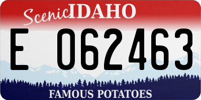 ID license plate E062463