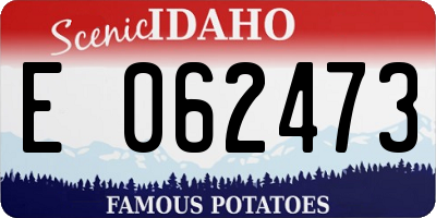 ID license plate E062473
