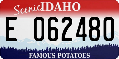 ID license plate E062480