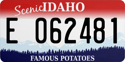 ID license plate E062481