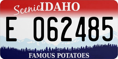 ID license plate E062485