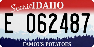 ID license plate E062487