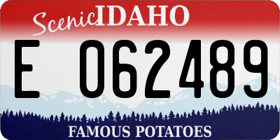 ID license plate E062489