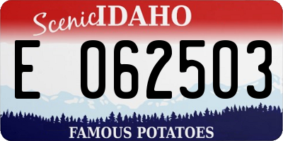 ID license plate E062503