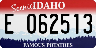 ID license plate E062513