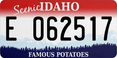 ID license plate E062517