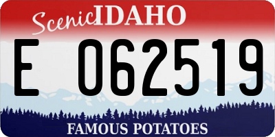 ID license plate E062519