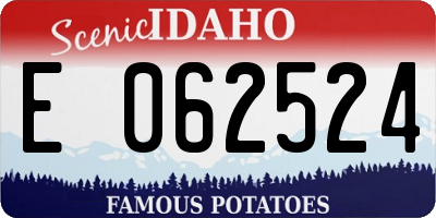 ID license plate E062524