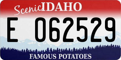 ID license plate E062529