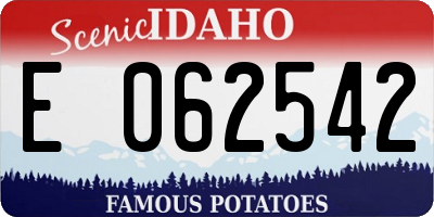 ID license plate E062542