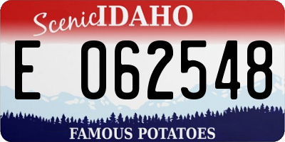 ID license plate E062548