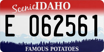 ID license plate E062561