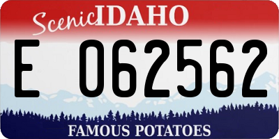 ID license plate E062562