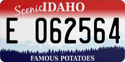 ID license plate E062564