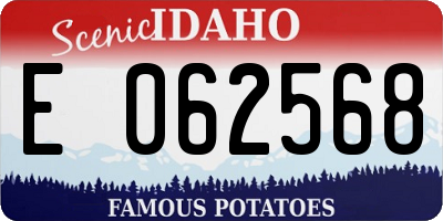ID license plate E062568