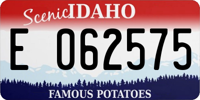 ID license plate E062575