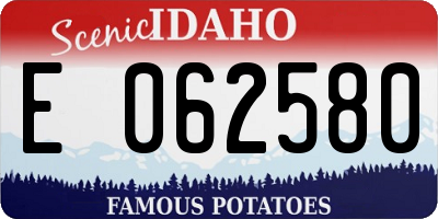 ID license plate E062580