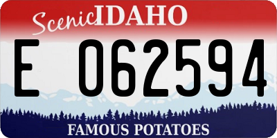ID license plate E062594