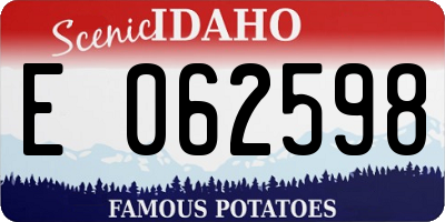 ID license plate E062598