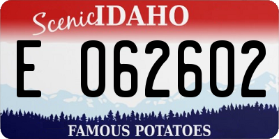ID license plate E062602