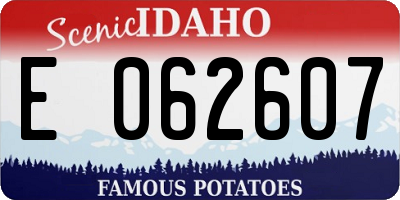 ID license plate E062607