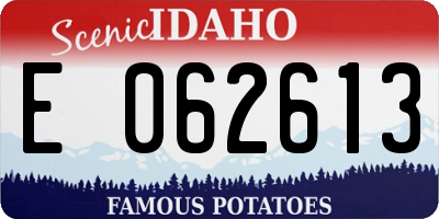 ID license plate E062613