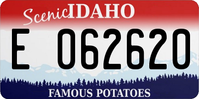 ID license plate E062620