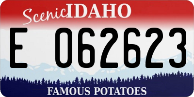 ID license plate E062623