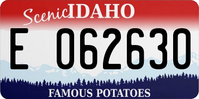 ID license plate E062630