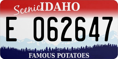 ID license plate E062647