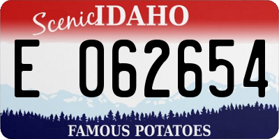 ID license plate E062654